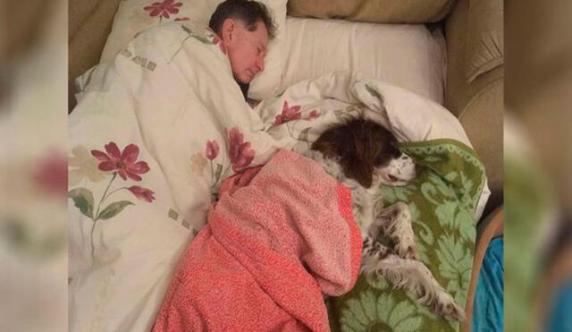 Desliza las imágenes para conocer el amoroso gesto de un padre al cuidar y proteger a su perro que sufrió dos derrames cerebrales. Foto: Spike Morris/ Instagram