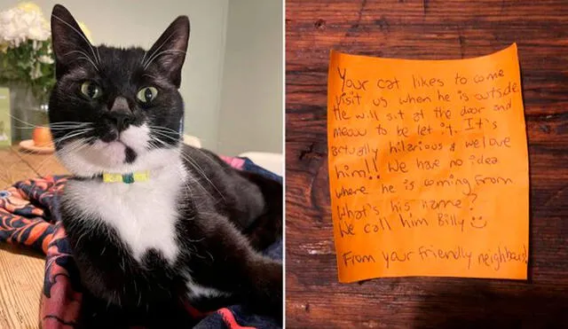 Desliza las imágenes para conocer la divertida historia de un joven que se volvió amigo de su vecino gracias a su gato. Foto: Zack King/ Twitter