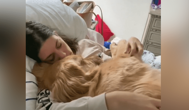 El cachorro se quedó dormido en los brazos de su dueña y ella acarició su pelaje. Foto: captura de Facebook