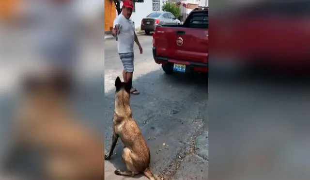 Desliza las imágenes para conocer la tierna reacción de un perro cuando su dueño le dice que saldrán a pasear. Foto: captura de Facebook