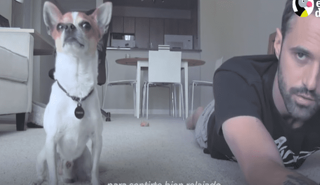 El cachorro se volvió famoso en las redes sociales por su particular estilo para hacer yoga. Foto: captura de YouTube.