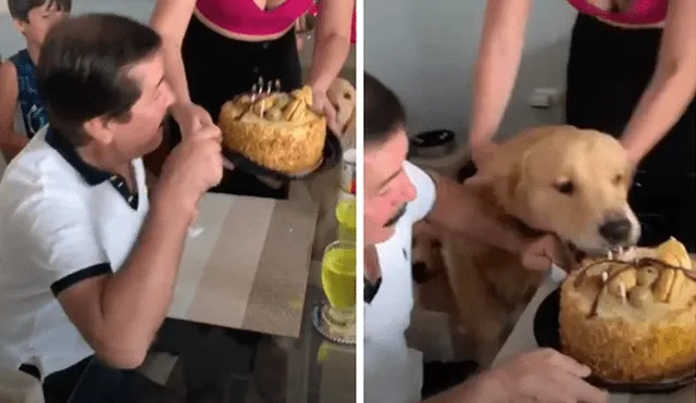 El cachorro se acercó sigilosamente para masticar la torta que su dueña hizo por horas. Foto: captura de Facebook