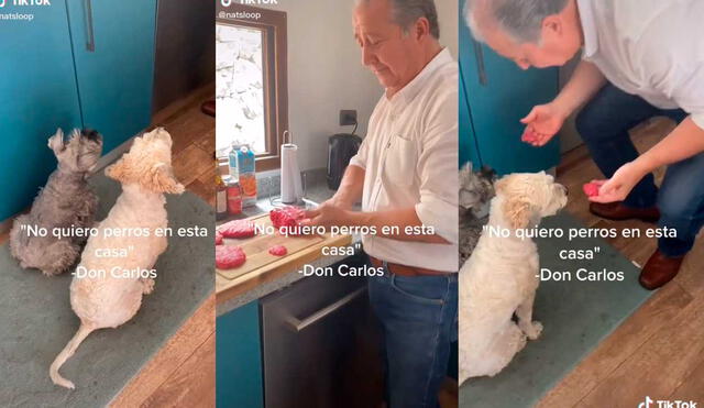 El padre de familia fue captado en una curiosa escena con sus mascotas y las imágenes generaron ternura en redes. Foto: captura de TikTok/@natsloop