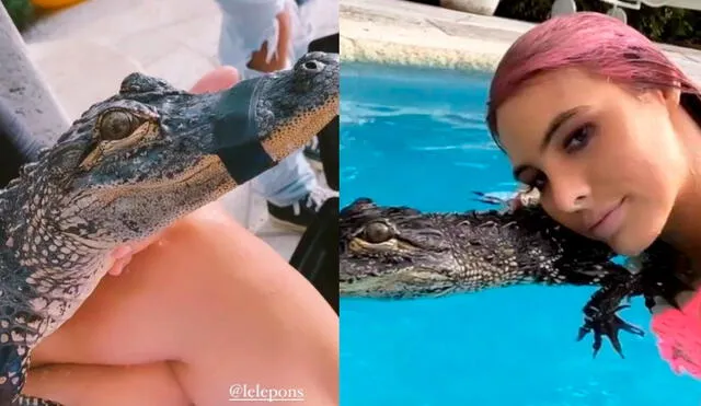Lele Pons, Stefi Roitman y Guaynaa fueron blanco de críticas por haber nadado con un pequeño cocodrilo con el hocico amarrado. Foto: Stefi Roitman Instagram