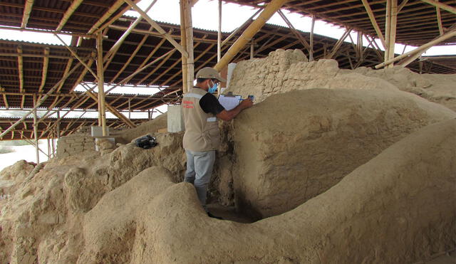 Ministerio de Cultura financió la investigación del  Proyecto Túcume en Huaca Las Abejas. Foto: UE Naylamp