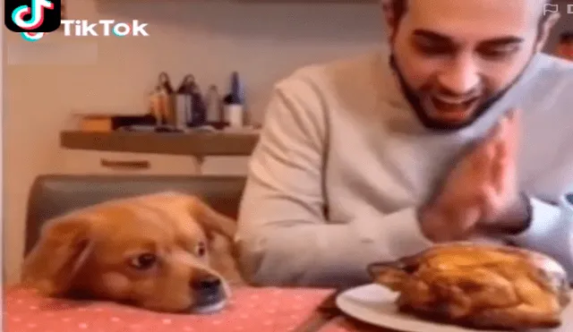 El can esperaba ansioso y muy atento por el pollo horneado, pero se enfureció al ver que algo diferente. Foto: captura de TikTok