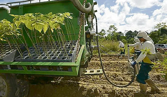 Agrolabor. La nueva ley agraria impacta en más de 500 mil trabajadores. Foto: difusión
