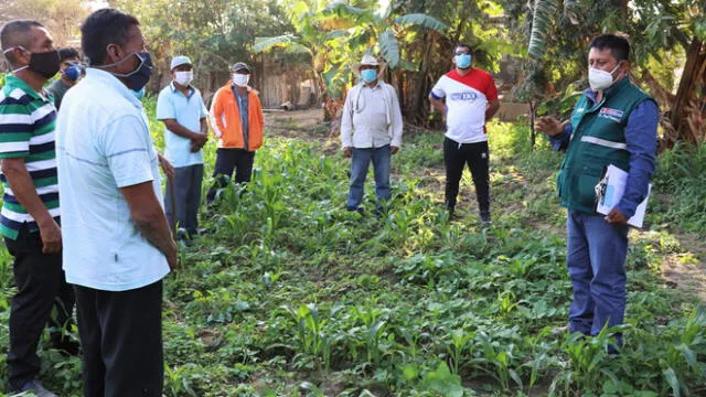 Especialistas del Senasa capacitarán a pequeños productores de Lambayeque. Foto: Senasa.