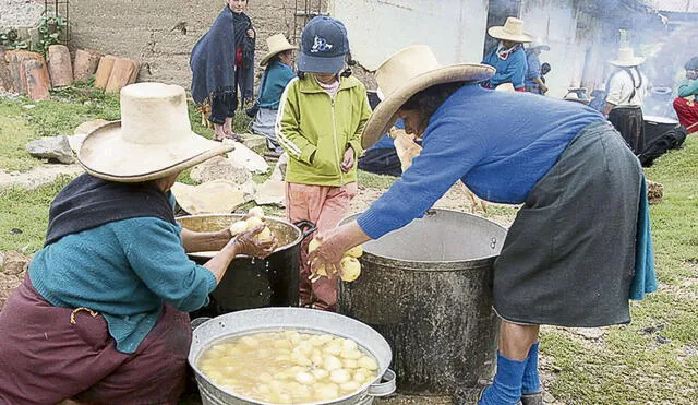 Iniciativa. Hambre Cero busca garantizar la seguridad alimentaria a través de la compra a la agricultura familiar. Foto: difusión