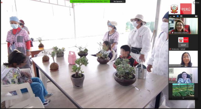 Plantas cultivadas por los niños fueron presentadas a diversas autoridades. Foto: Ministerio de la Mujer
