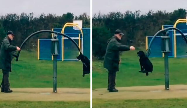 Un perro se subió a un columpio y su dueño lo empujó para que se diviertan juntos tras visitar un parque. Foto: captura de Facebook