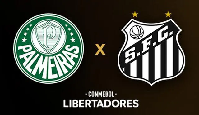 Palmeiras y Santos ya han jugado cuatro finales del torneo cada uno. Foto: Conmebol Libertadores
