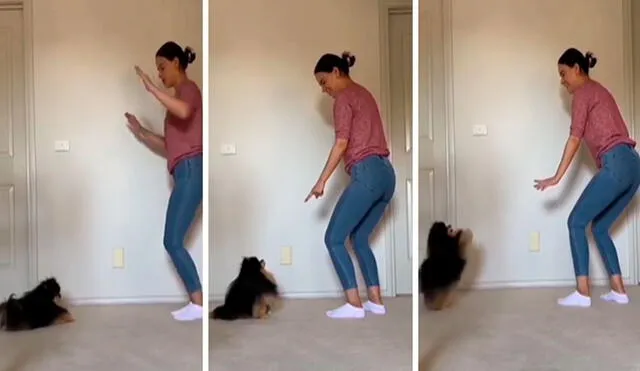 Una mujer le dio unas indicaciones a su perro para que copie sus movimientos y este la sorprendió. Foto: captura de Facebook