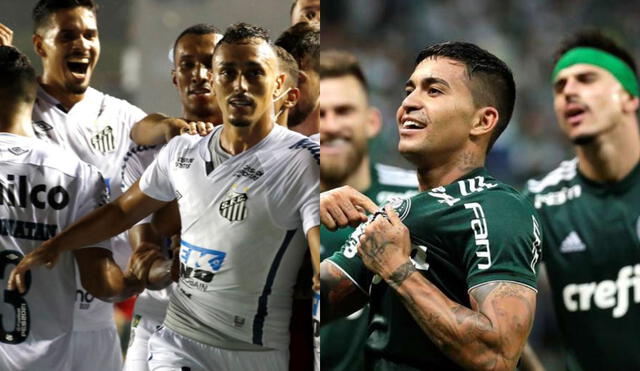 Palmeiras y Santos jugarán hoy, sábado 30 de enero, por la final de la Copa Libertadores 2020. Foto: EFE