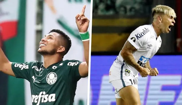 Santos y Palmeiras protagonizarán la final de la Libertadores edición 2021. Foto: composición LR