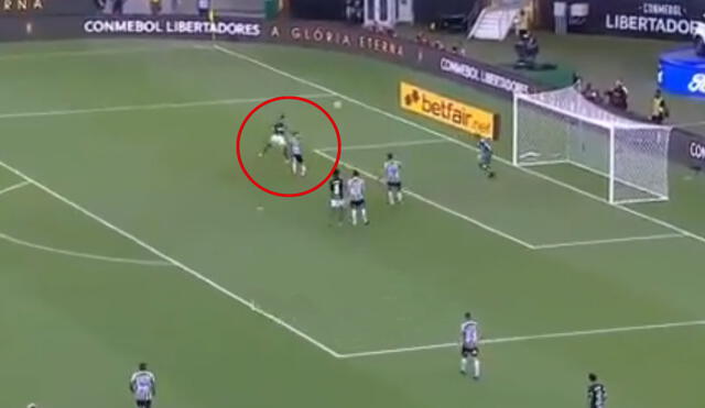 Con la mínima diferencia, Palmeiras se adueñó de la Copa Libertadores gracias al gol de Breno. Foto: captura Youtube
