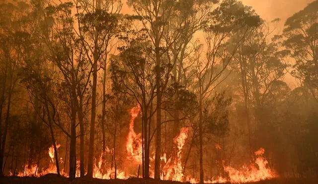 El incendio tiene actualmente un tamaño de 7.000 hectáreas con un perímetro de unos 75 kilómetros. Foto: AFP