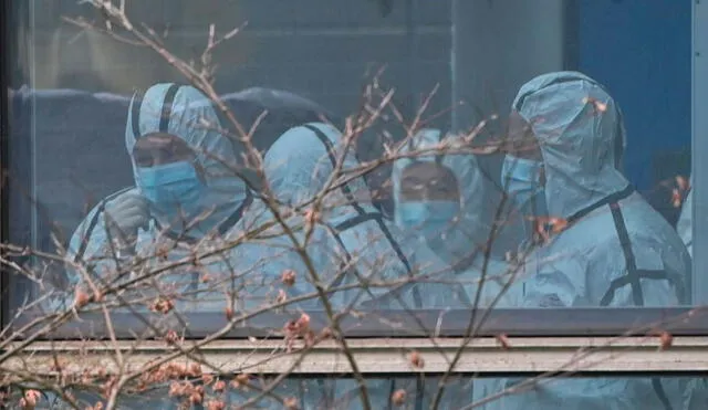 El instituto de Wuhan cuenta con varios laboratorios de alta seguridad donde los investigadores trabajan con coronavirus. Foto: AFP