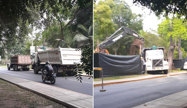Vecinos reportaron que varios camiones retiran la tierra extraída del Parque Castilla. Foto: Composición La Republica/ Lincevecinos