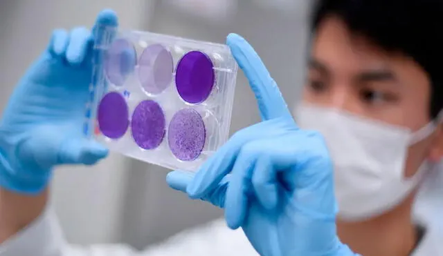 Científico con muestras de coronavirus. Foto: AFP