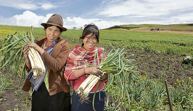 En el campo. Los agricultores requieren de apoyo financiero. Foto: difusión