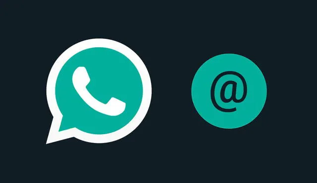 No es la única novedad que prepara WhatsApp para sus usuarios. Foto: Xataka