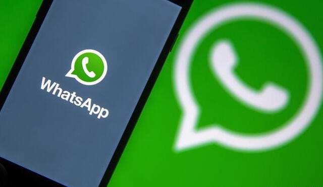 Puedes hacer una copia de seguridad y exportar chats en WhatsApp. Foto: Tecnoxplora