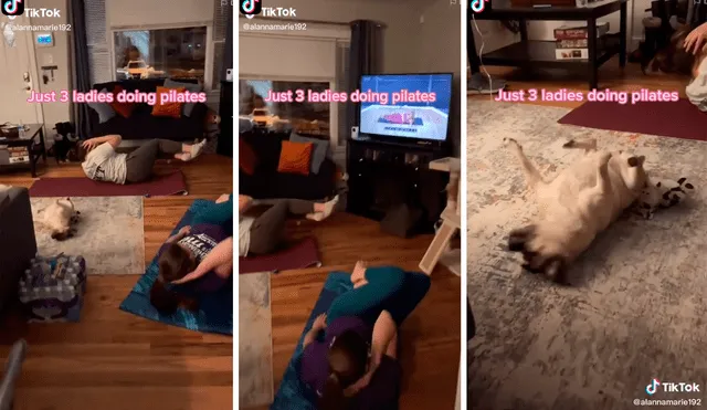 La perrita intentaba copiar los ejercicios de pilates de sus dueñas. Foto: captura de TikTok