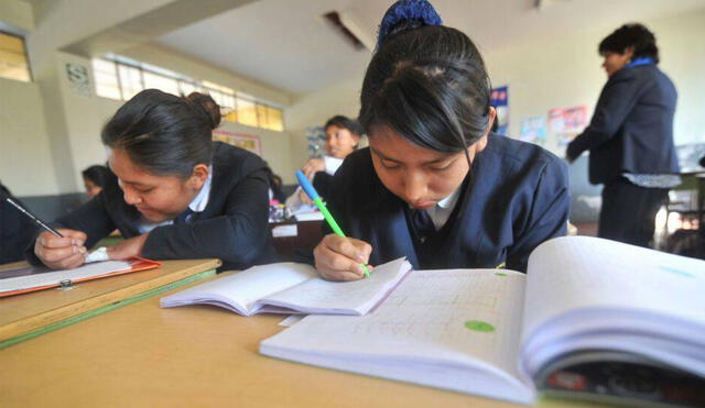 Consejera afirmó que autoridades tienen la responsabilidad de otorgar las mejores condiciones para que escolares estudien. Foto: referencial/Andina.