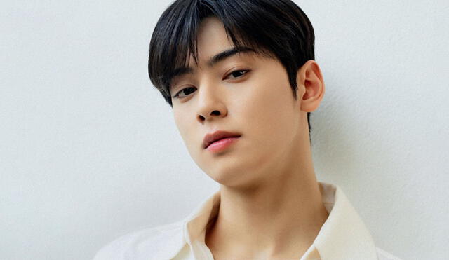 Cha Eunwoo, integrante de ASTRO, otuvo tres roles protagónicos en su carrera como actor. Foto: Fantagio