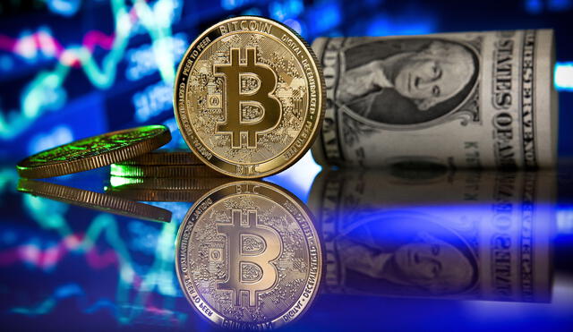 El valor del bitcoin rebasó los 50 mil dólares esta semana. Cuando apareció en 2008, la criptomoneda valía centavos de dólar.
