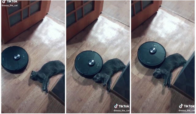 El robot quiso limpiar el lugar en donde estaba el animal, pero no pudo. Foto: captura de TikTok (@essa_the_cat)