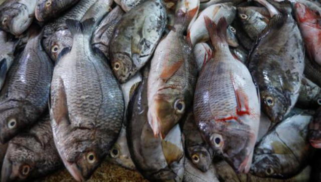 El 67.4% de los pescados analizados es vendido bajo otra denominación. Foto: EFE