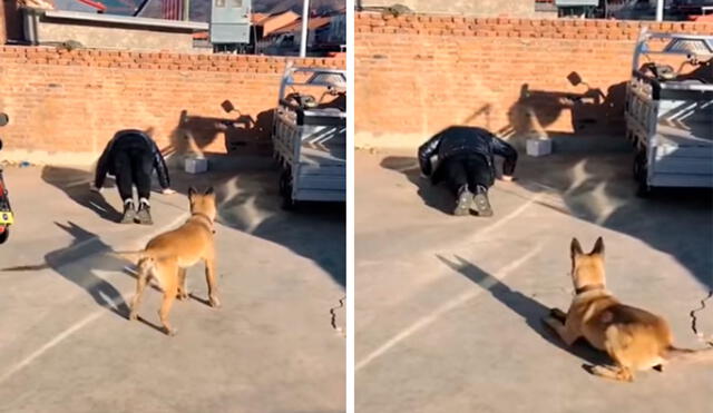 Un perro siguió a su cuidadora hasta los exteriores de su hogar y aprovechó que estaba de espaldas para copiar su rutina de ejercicios. Foto: captura de Facebook