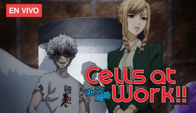 Cell at Work! Season 2 - Hataraku Saibou!! - Trailer HD 