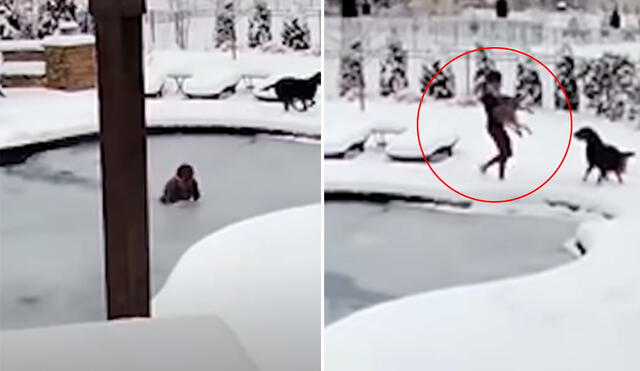 La dueña del can no dudó en meterse al agua congelada y salvó la vida de su querida mascota. Foto: captura de YouTube
