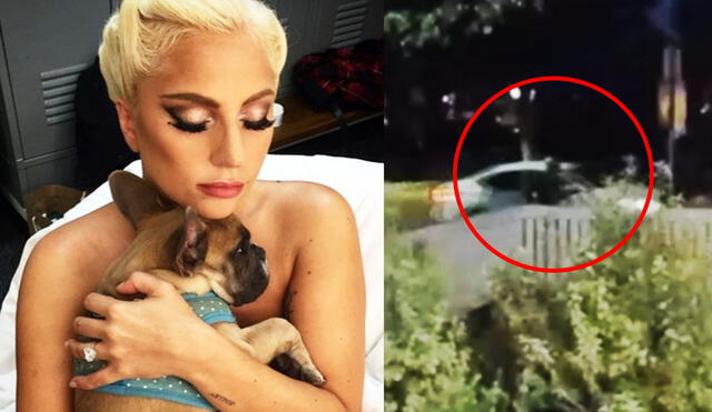 La cantante atraviesa por un difícil momento por la pérdida de sus mascotas. Foto: Instagram / Lady Gaga / captura CNN