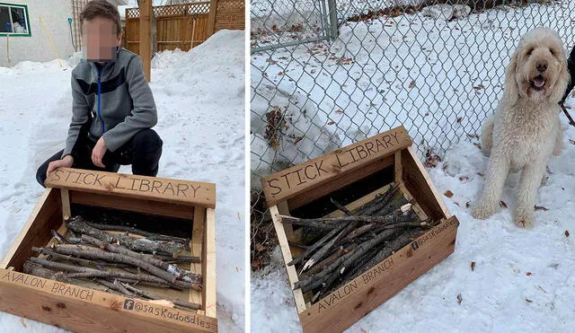 Un pequeño junto a su padre reunieron varios trozos de madera para que los canes que viven en su vecindario puedan jugar durante sus paseos. Foto: Doodles of Saskatoon/ Facebook