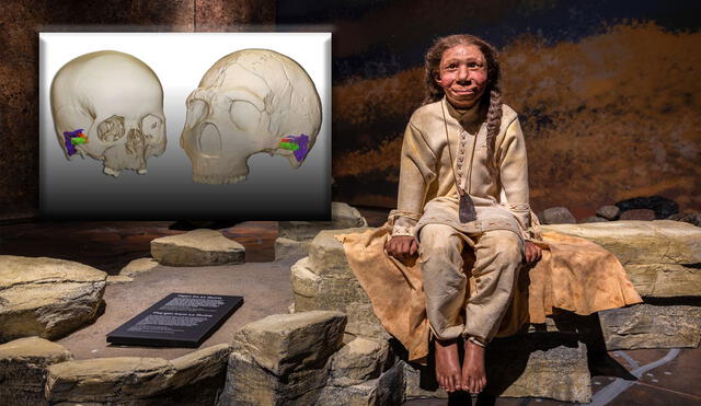 Un equipo de científicos comprobó los detalles de la comunicación neandertal mediante reconstrucciones virtuales de orejas. Foto: composición LR / Mercedes Conde-Valverde / Moesgaard Museum / Neanderthal Exhibition 2020-21