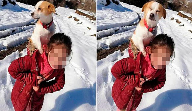 Una pequeña se enteró que un veterinario había ido a su pueblo y fue a darle el alcance para que revise a su querida mascota. Foto: Ogün Öztürk/ Facebook