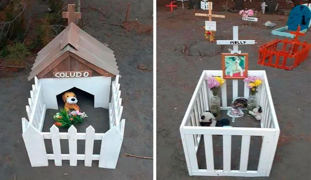 Los habitantes de una comuna chilena crearon un espacio para que sus animales fallecidos descansen en paz; adornaron el lugar con imágenes para recordarlos siempre. Foto: El Pípila/ Facebook