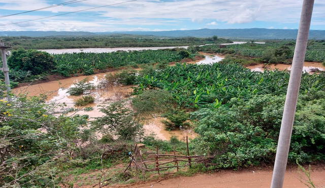 Incremento del caudal se debe a las lluvias estacionarias en la cuenta del río Puyango-Tumbes. Foto: difusión