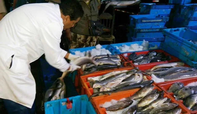 Fiscalizadores recorrieron diferentes puntos de venta de productos marinos en Santa Rosa. Foto: GORE Lambayeque