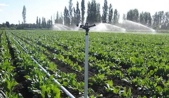 El sistema de riego tecnificado ayuda a economizar el recurso hídrico. Foto: GRALL