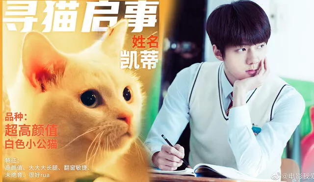 Sehun tenía 23 años cuando terminó de grabar Catman. Foto: Weibo