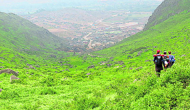 Valle. Lurín es considerado el último pulmón verde de Lima. Requiere inversión y servicios, pero también protección. Foto: Andina