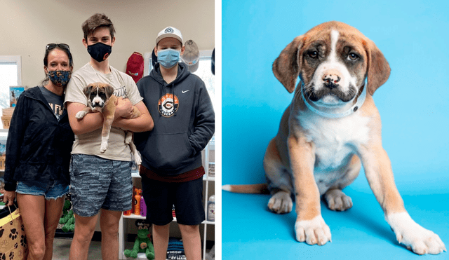 La perrita cautivó por su enorme bigote debajo de su nariz. Foto: captura de Facebook / Arizona Human Society