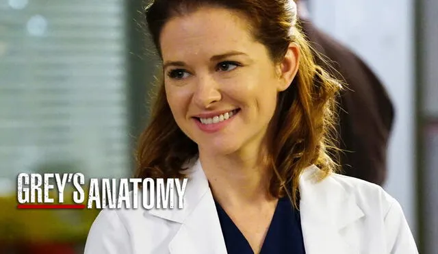 Sarah Drew es la nueva invitada para la temporada 17 de Grey's anatomy. Foto: ABC