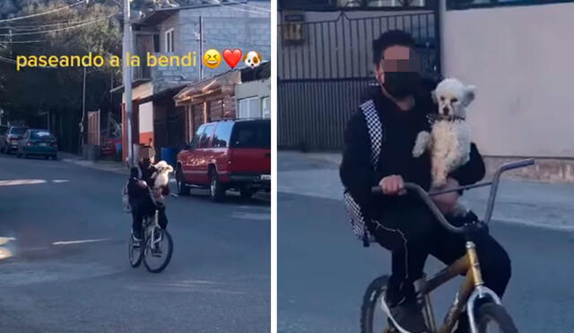 TikTok viral: niño no quiere dejar solo a su perro y lo lleva a dar un ...