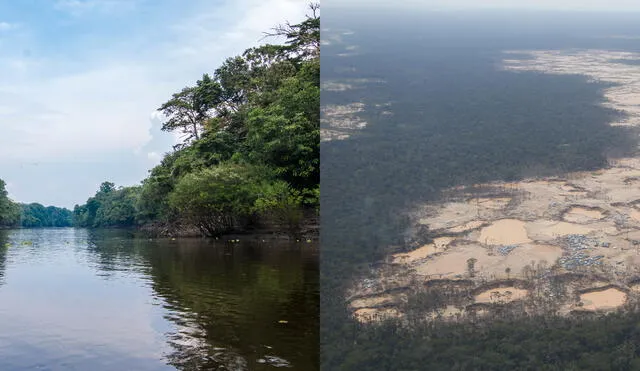 Ejecución de los proyectos se iniciará en agosto próximo y forman parte de Programa Bosques, iniciativa internacional para la mitigación del Cambio Climático. Foto: composición/Grupo La República
